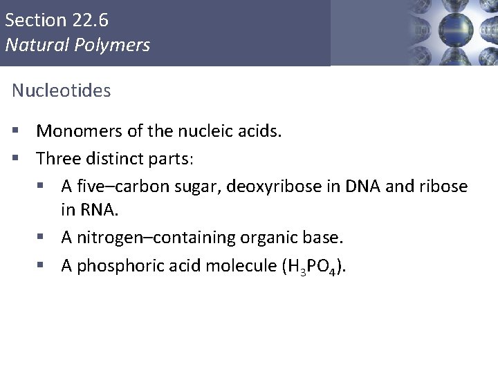 Section 22. 6 Natural Polymers Nucleotides § Monomers of the nucleic acids. § Three Section 22. 6 Natural Polymers Nucleotides § Monomers of the nucleic acids. § Three