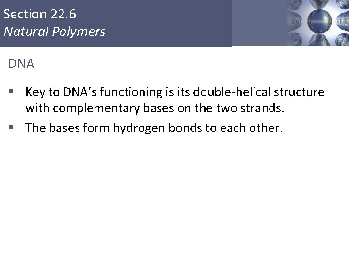 Section 22. 6 Natural Polymers DNA § Key to DNA’s functioning is its double-helical Section 22. 6 Natural Polymers DNA § Key to DNA’s functioning is its double-helical