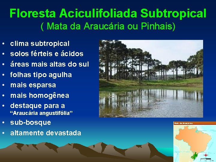 Floresta Aciculifoliada Subtropical ( Mata da Araucária ou Pinhais) • • clima subtropical solos