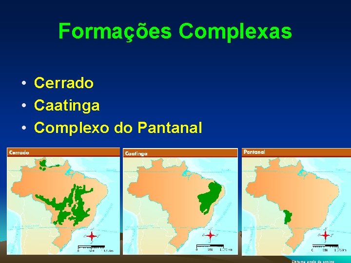 Formações Complexas • Cerrado • Caatinga • Complexo do Pantanal 