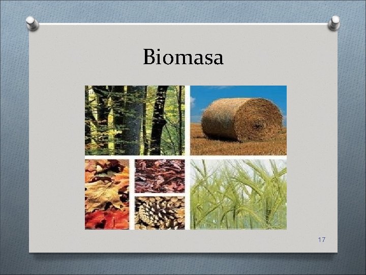 Biomasa 17 