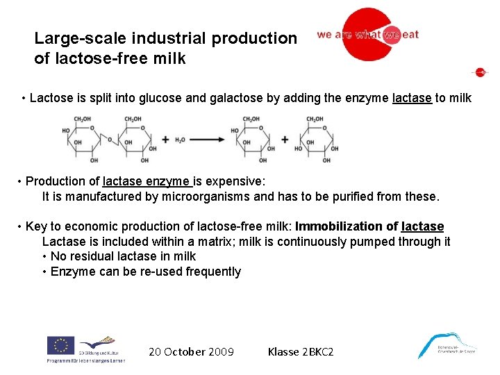 Large-scale industrial production of lactose-free milk • Lactose is split into glucose and galactose