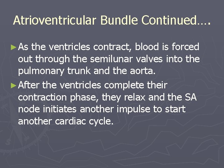 Atrioventricular Bundle Continued…. ► As the ventricles contract, blood is forced out through the