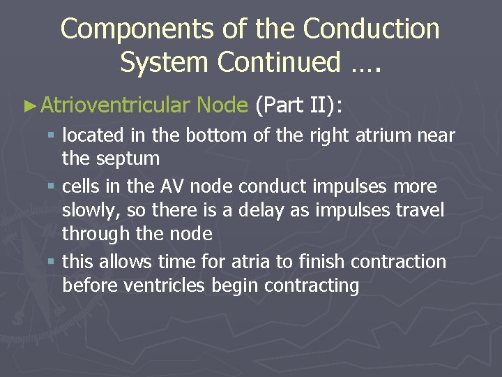 Components of the Conduction System Continued …. ► Atrioventricular Node (Part II): § located