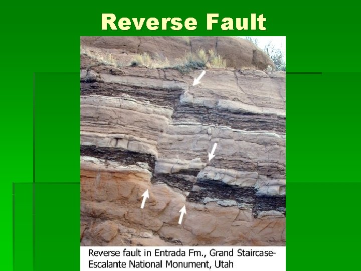 Reverse Fault 