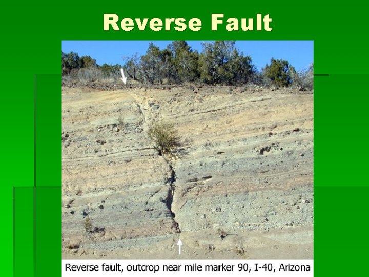 Reverse Fault 