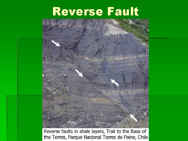 Reverse Fault 