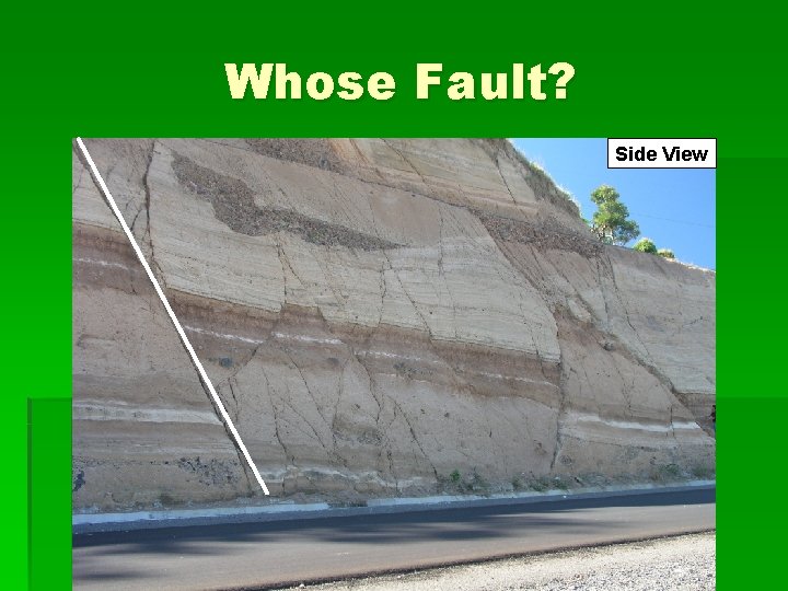 Whose Fault? Side View 