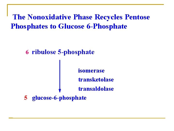 The Nonoxidative Phase Recycles Pentose Phosphates to Glucose 6 -Phosphate 6 ribulose 5 -phosphate