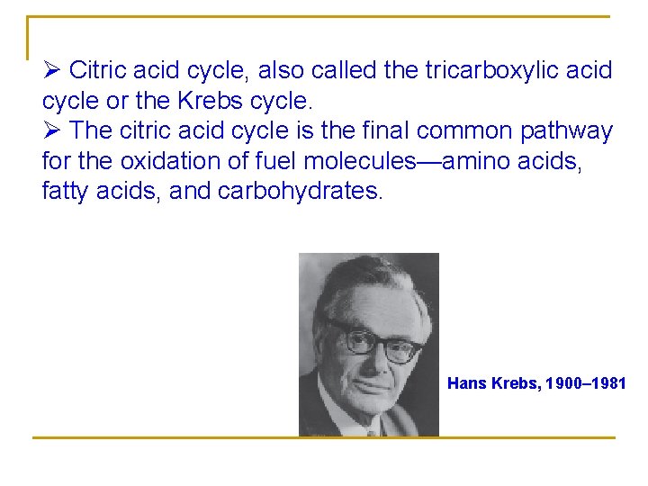 Ø Citric acid cycle, also called the tricarboxylic acid cycle or the Krebs cycle.