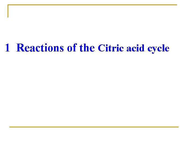1 Reactions of the Citric acid cycle 