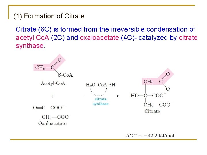 (1) Formation of Citrate (6 C) is formed from the irreversible condensation of acetyl