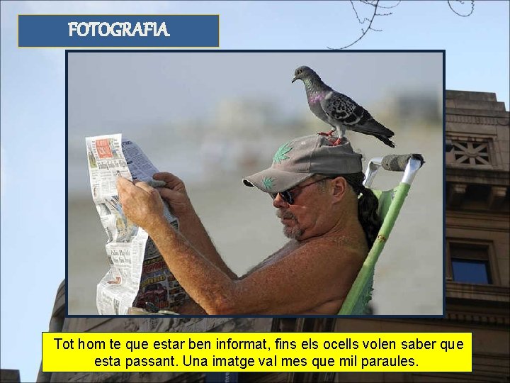 FOTOGRAFIA Tot hom te que estar ben informat, fins els ocells volen saber que