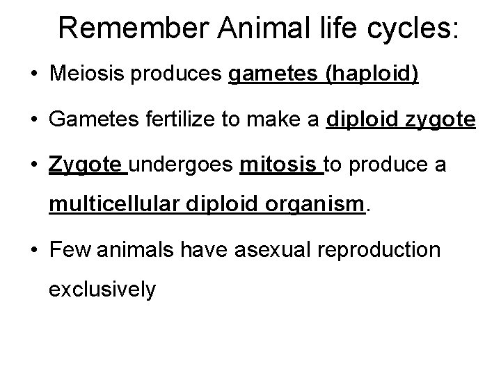 Remember Animal life cycles: • Meiosis produces gametes (haploid) • Gametes fertilize to make