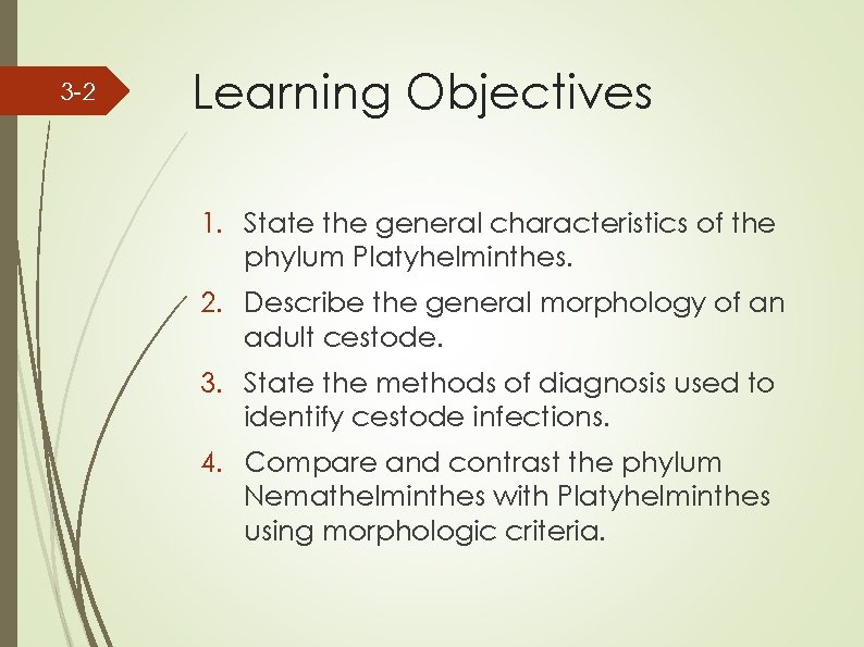 3 -2 Learning Objectives 1. State the general characteristics of the phylum Platyhelminthes. 2.