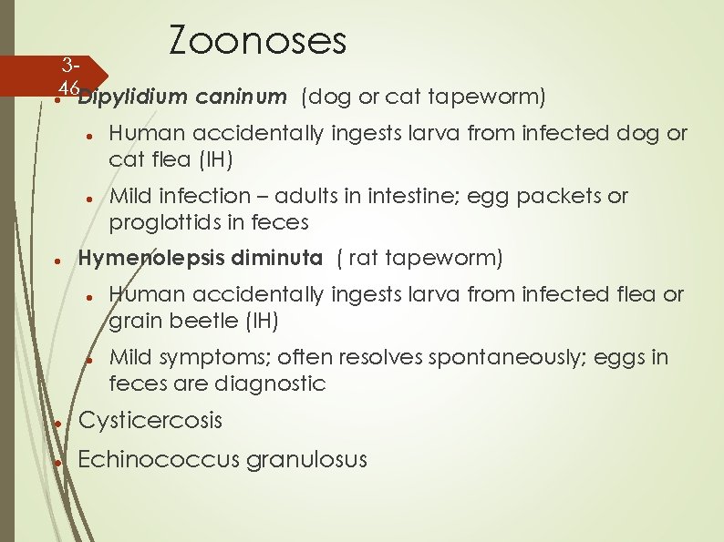 Zoonoses 346 Dipylidium caninum (dog or cat tapeworm) Human accidentally ingests larva from infected