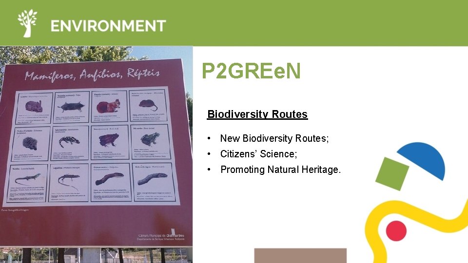 P 2 GREe. N Biodiversity Routes • New Biodiversity Routes; • Citizens’ Science; •