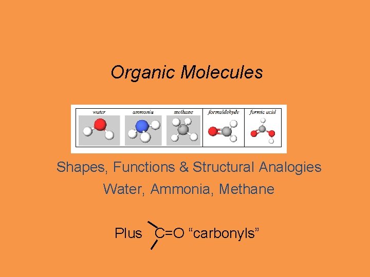 Organic Molecules Shapes, Functions & Structural Analogies Water, Ammonia, Methane Plus C=O “carbonyls” 