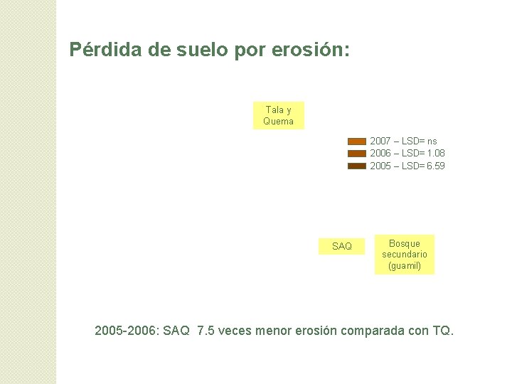 Pérdida de suelo por erosión: Tala y Quema 2007 – LSD= ns 2006 –