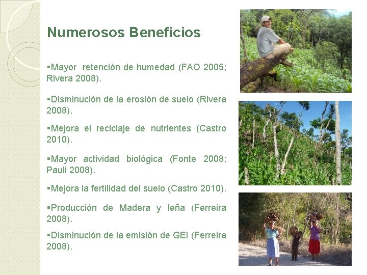 Numerosos Beneficios §Mayor retención de humedad (FAO 2005; Rivera 2008). §Disminución de la erosión