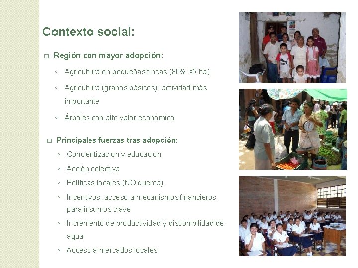 Contexto social: � Región con mayor adopción: ◦ Agricultura en pequeñas fincas (80% <5