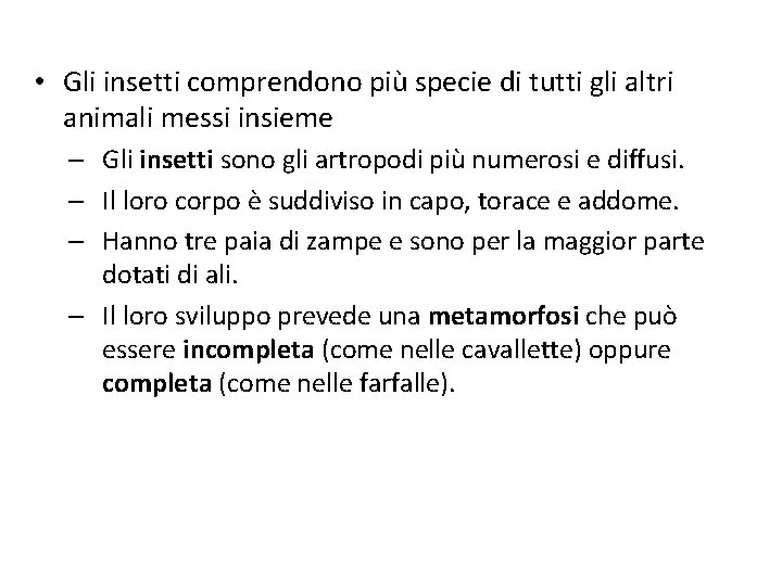  • Gli insetti comprendono più specie di tutti gli altri animali messi insieme