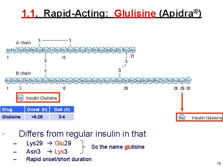 1. 1. Rapid-Acting: Glulisine (Apidra®) Drug Glulisine Onset (h) Do. A (h) <0. 25