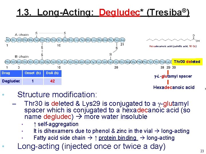 1. 3. Long-Acting: Degludec* (Tresiba®) Hexadecamoic acid (palmitic acid, 16 Cs) Thr 30 deleted