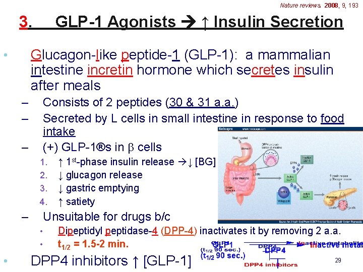 Nature reviews. 2008, 9, 193 3. GLP-1 Agonists ↑ Insulin Secretion Glucagon-like peptide-1 (GLP-1):