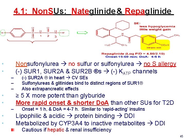 4. 1: Non. SUs: Nateglinide & Repaglinide • • – – – (-) SUR