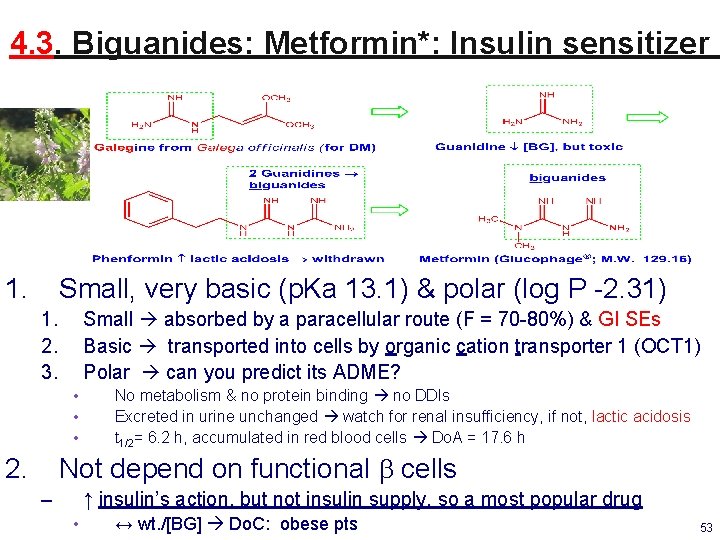 4. 3. Biguanides: Metformin*: Insulin sensitizer 1. Small, very basic (p. Ka 13. 1)