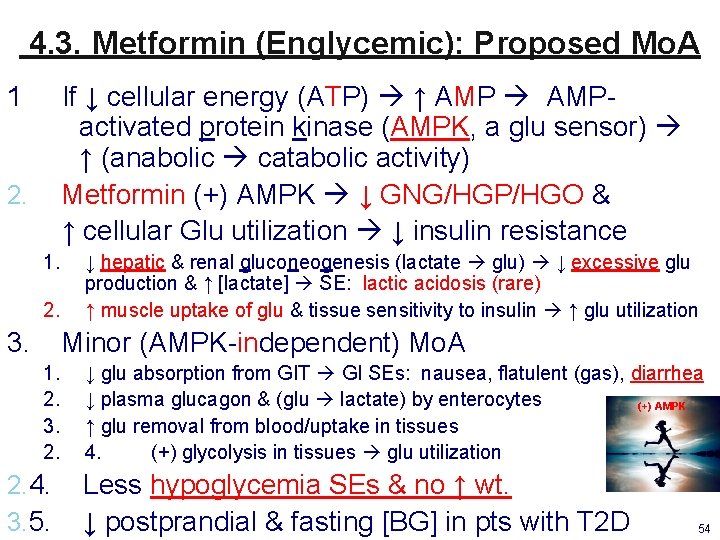 4. 3. Metformin (Englycemic): Proposed Mo. A 1 If ↓ cellular energy (ATP) ↑