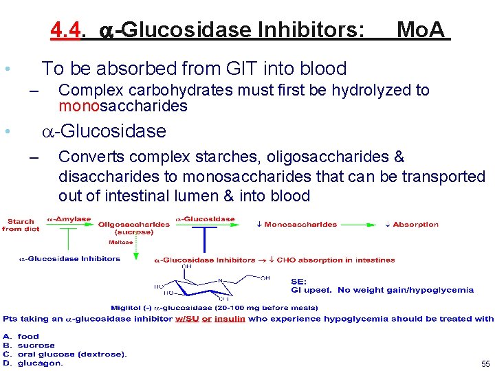 4. 4. a-Glucosidase Inhibitors: Mo. A To be absorbed from GIT into blood •