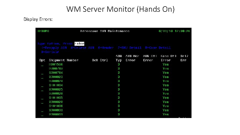 WM Server Monitor (Hands On) Display Errors: 