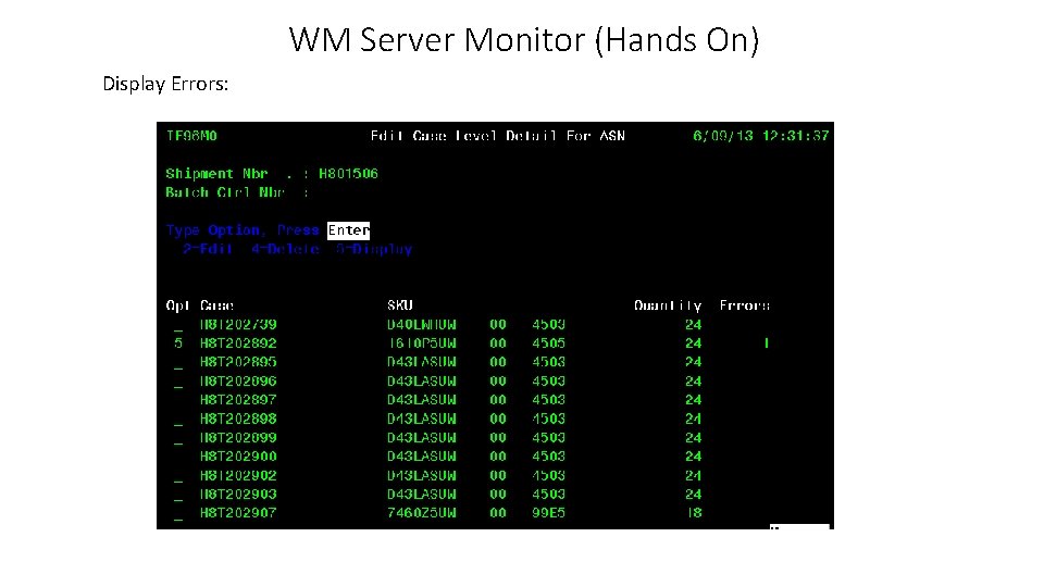 WM Server Monitor (Hands On) Display Errors: 