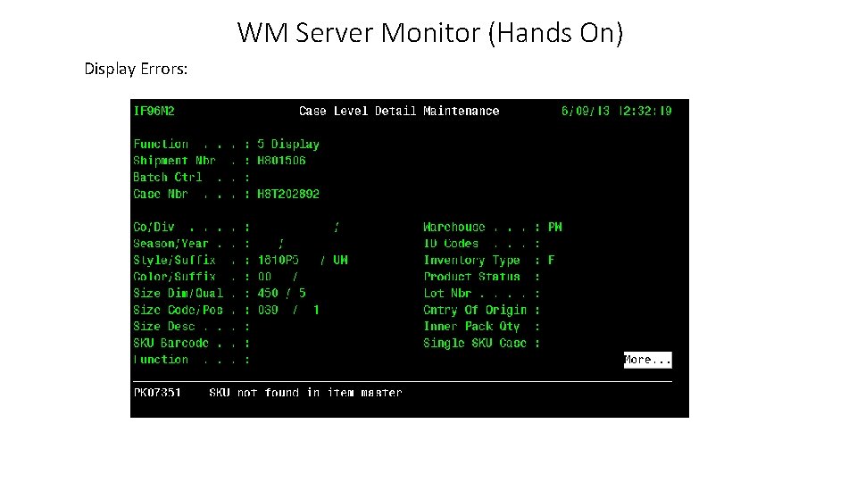 WM Server Monitor (Hands On) Display Errors: 