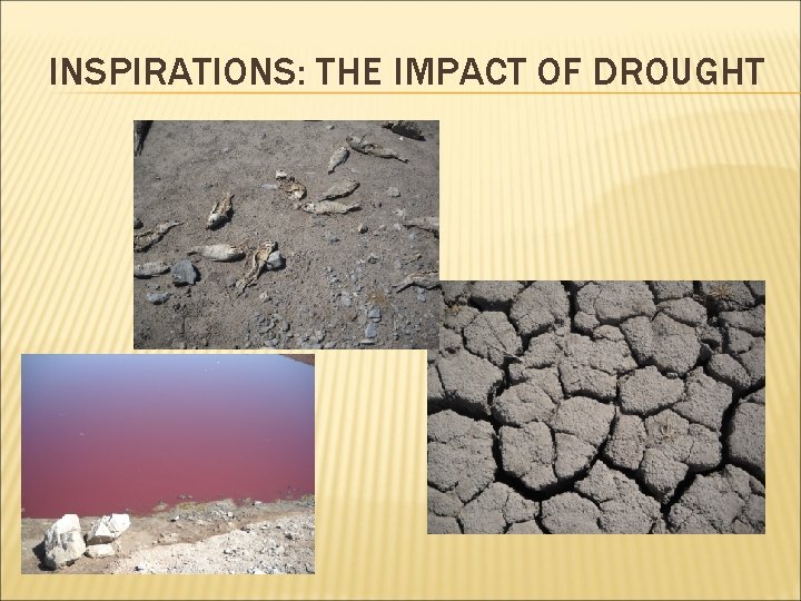 INSPIRATIONS: THE IMPACT OF DROUGHT 