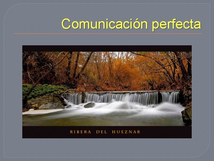 Comunicación perfecta 