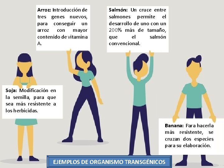 Arroz: Introducción de tres genes nuevos, para conseguir un arroz con mayor contenido de