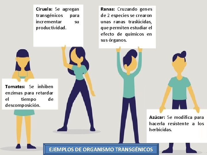 Ciruela: Se agregan transgénicos para incrementar su productividad. Ranas: Cruzando genes de 2 especies