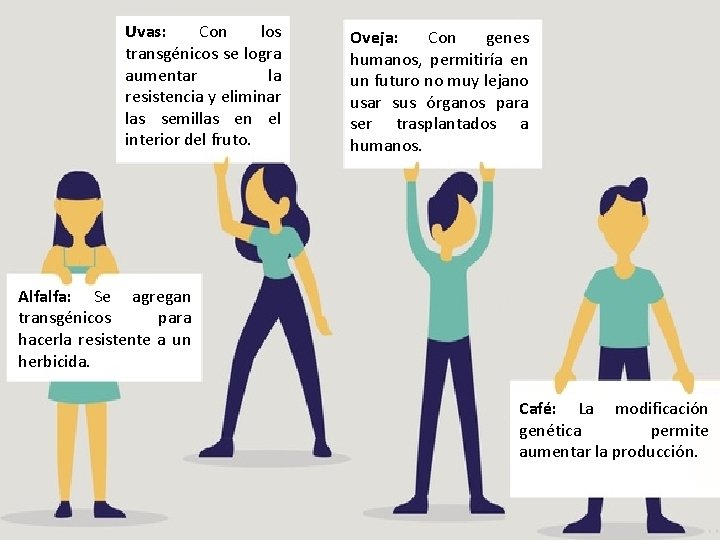 Uvas: Con los transgénicos se logra aumentar la resistencia y eliminar las semillas en