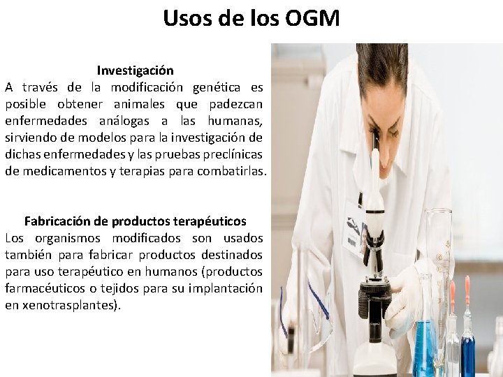 Usos de los OGM Investigación A través de la modificación genética es posible obtener
