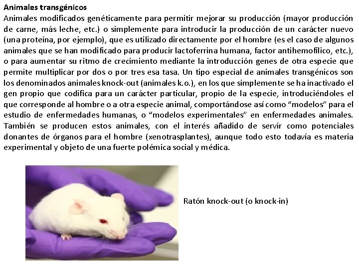 Animales transgénicos Animales modificados genéticamente para permitir mejorar su producción (mayor producción de carne,
