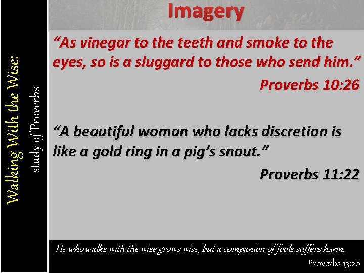 study of Proverbs Walking With the Wise: Imagery “As vinegar to the teeth and