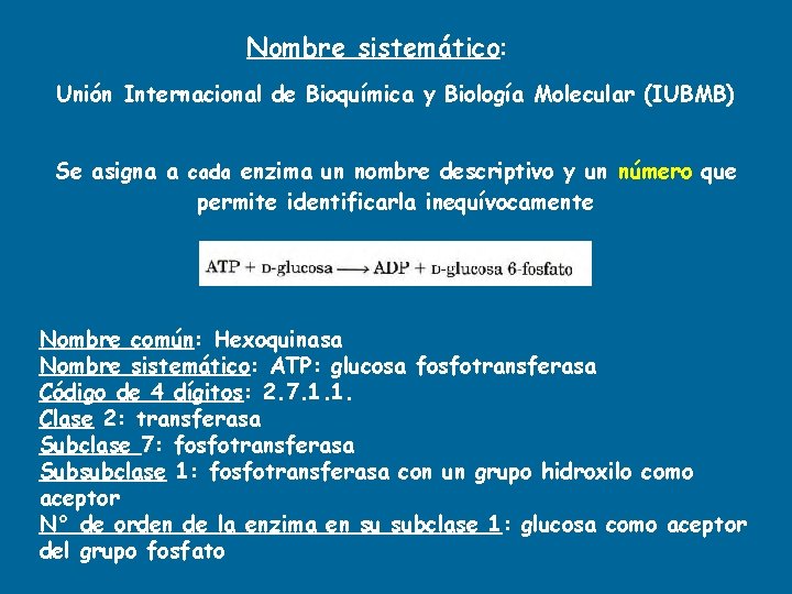 Nombre sistemático: Unión Internacional de Bioquímica y Biología Molecular (IUBMB) Se asigna a cada