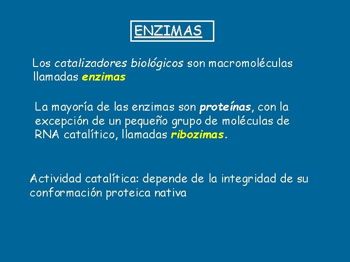 ENZIMAS Los catalizadores biológicos son macromoléculas llamadas enzimas La mayoría de las enzimas son