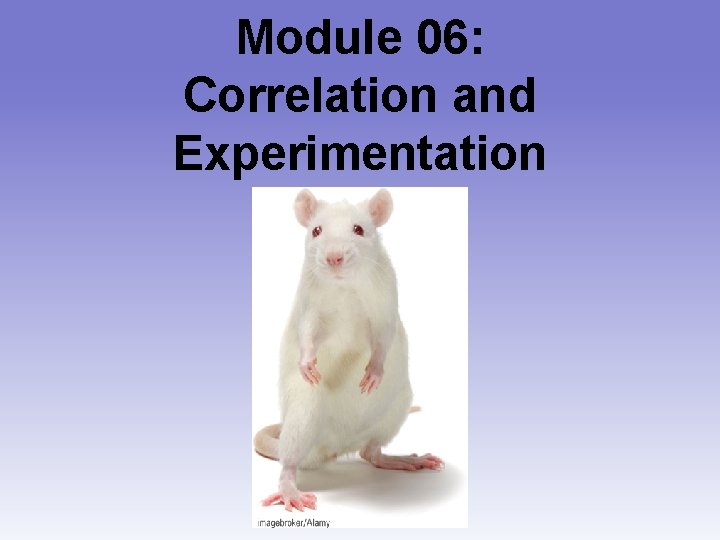 Module 06: Correlation and Experimentation 