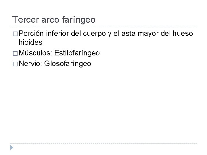 Tercer arco faríngeo � Porción inferior del cuerpo y el asta mayor del hueso