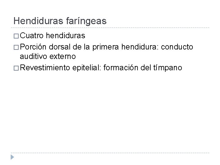 Hendiduras faríngeas � Cuatro hendiduras � Porción dorsal de la primera hendidura: conducto auditivo