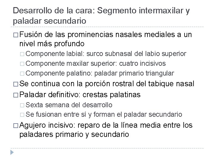 Desarrollo de la cara: Segmento intermaxilar y paladar secundario � Fusión de las prominencias